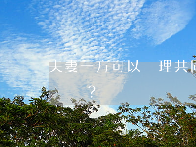 夫妻一方可以處理共同財產(chǎn)嗎？
